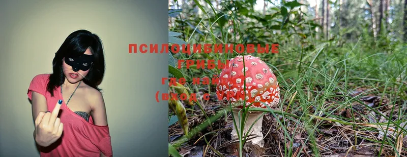 Псилоцибиновые грибы Magic Shrooms  Полярные Зори 